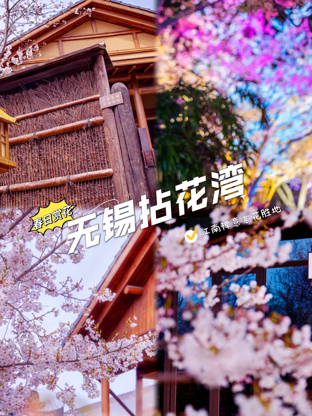 三月的拈花湾🌸比大理更浪漫比婺源更唯美