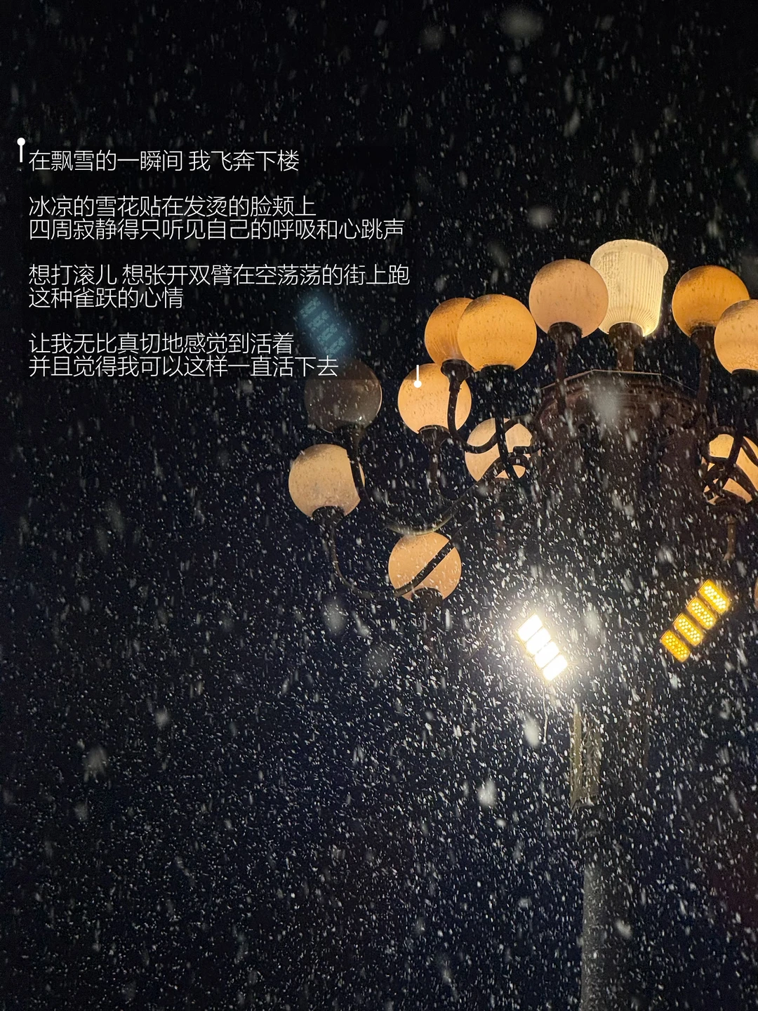 只要我们还在感受 世界依然辽阔生动