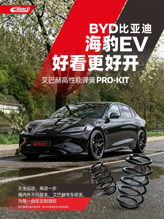 艾巴赫上车 | 比亚迪 海豹EV 好看更好开
