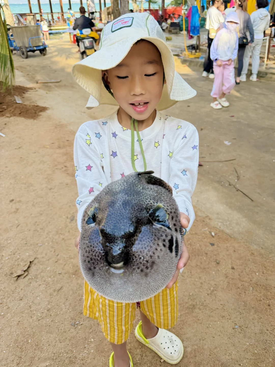 人生建议：冬天一定要带娃去一趟陵水！！
