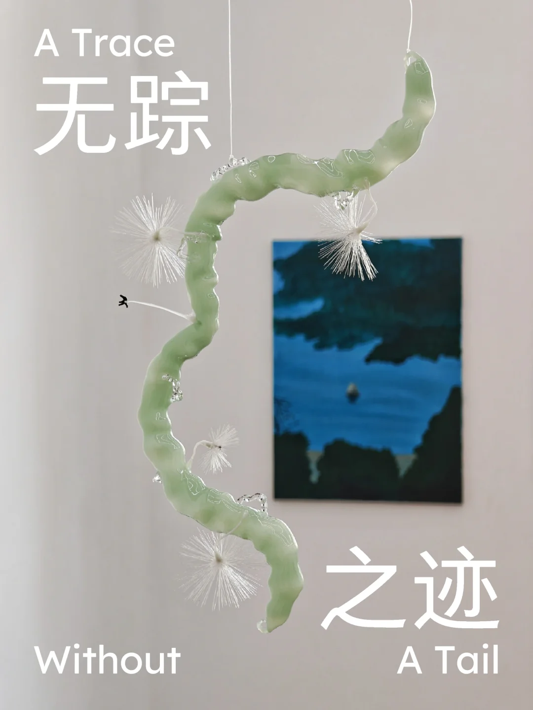 黄榜｜进入无踪的园林，探寻隐秘的痕迹