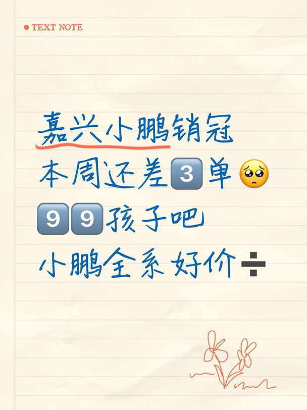 嘉兴想买小鹏的宝子看过来🔥10月冲量好价➗