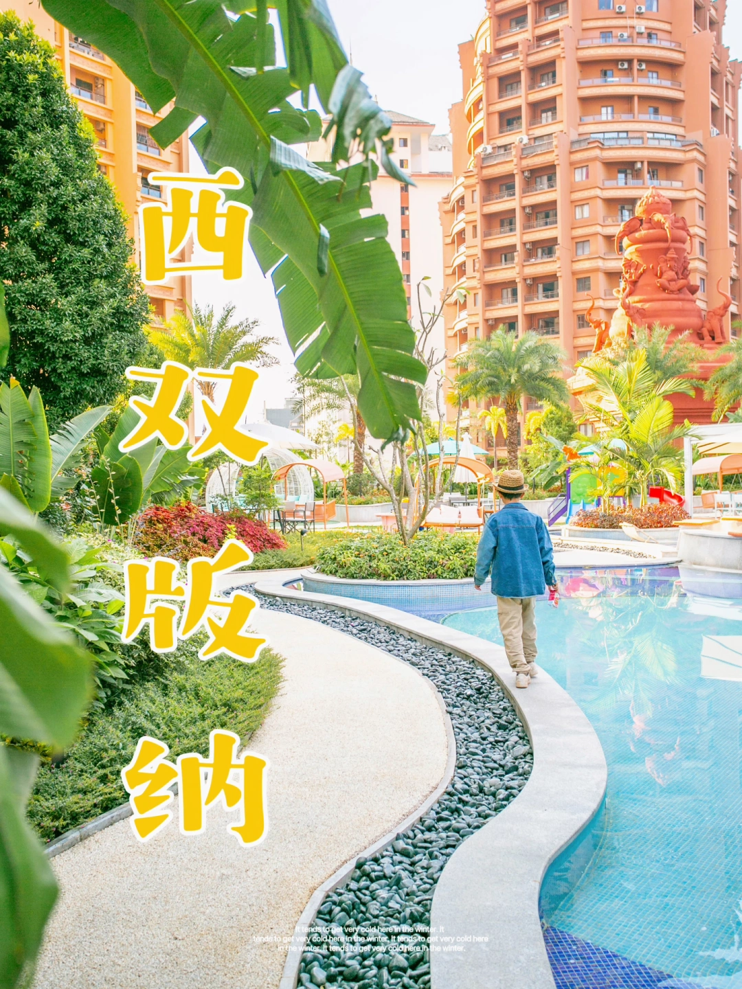 正在西双版纳，避人拍照成功，酒店预定成功