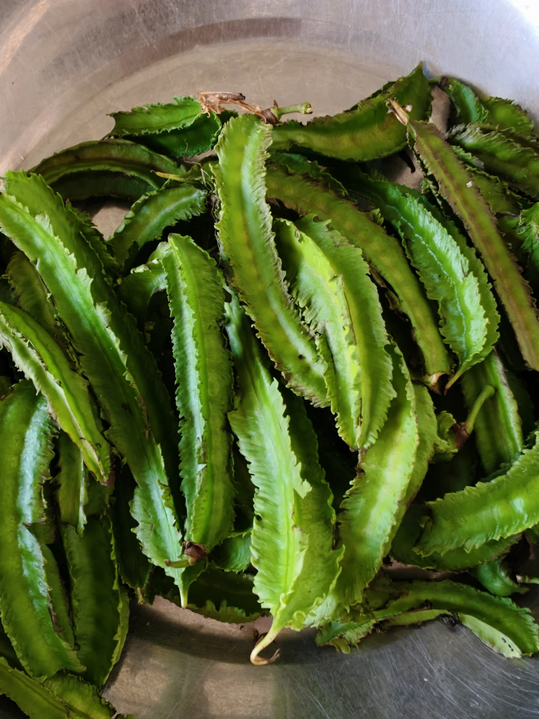 有人吃过这种豆吗？如何做才好吃？