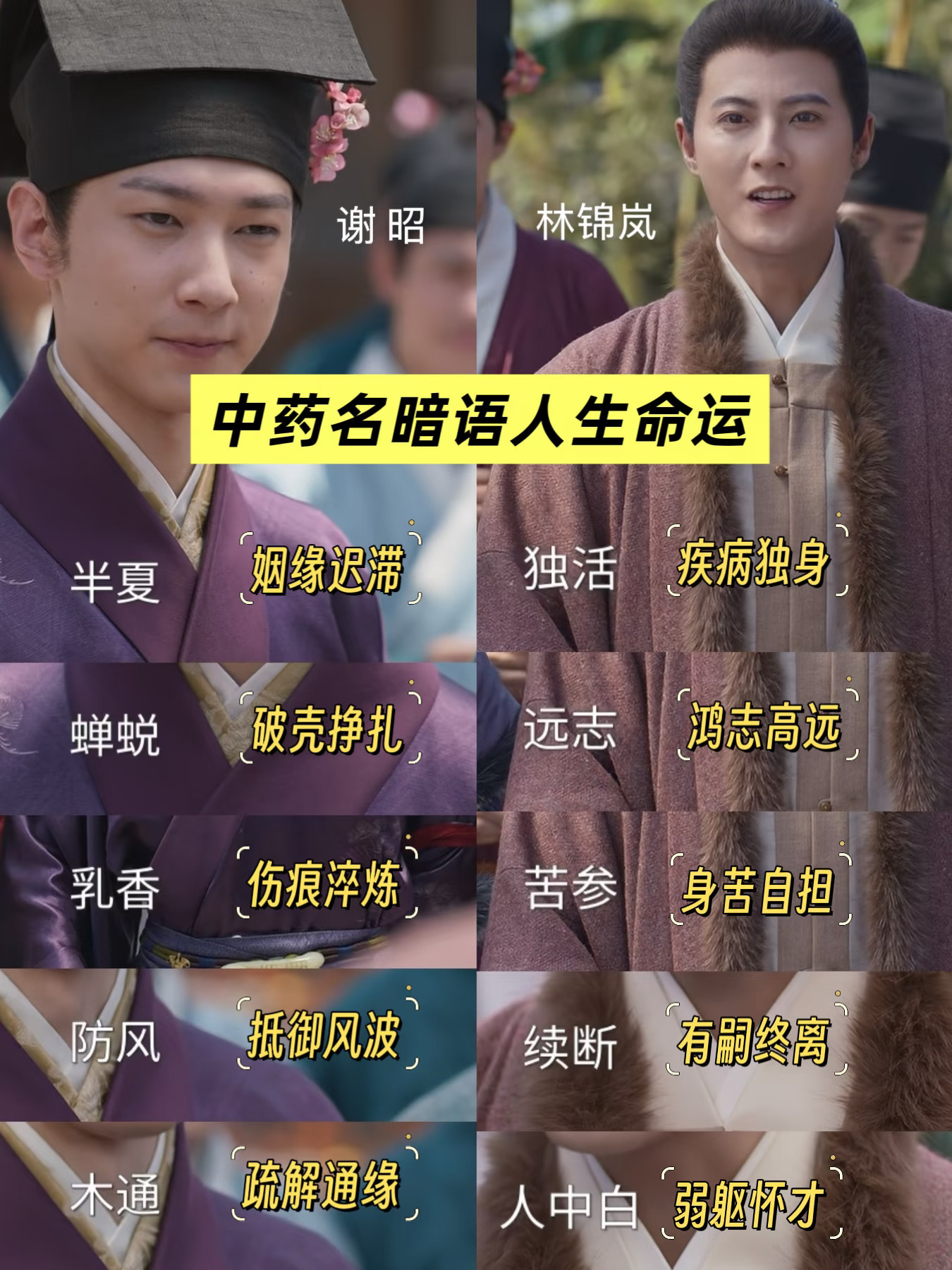 细节了，药名和唱曲果然都不是随便出现的❗️