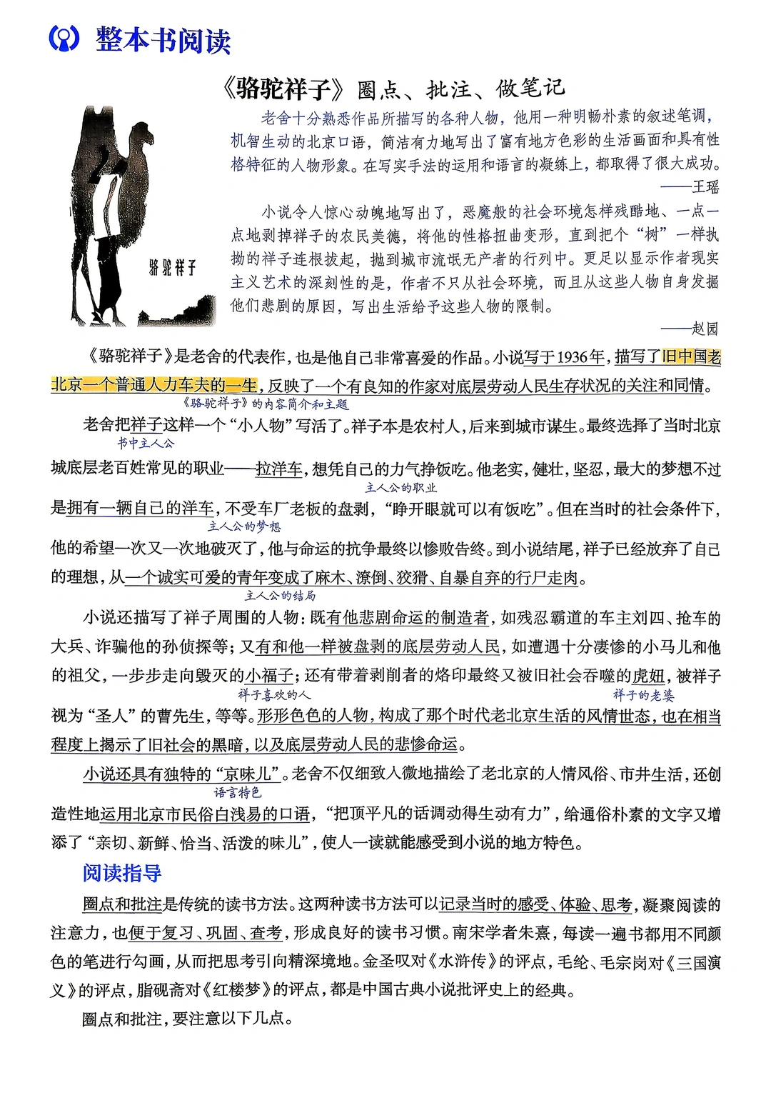 七年级下册语文｜整本书阅读 《骆驼祥子》笔记