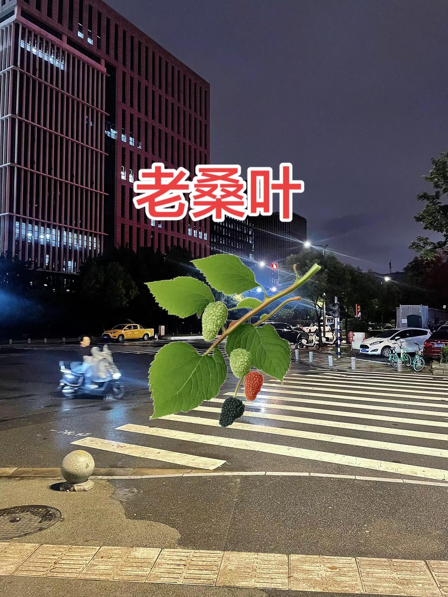 林诗栋 4-0击败王楚钦，首夺亚运男单冠军，同时加冕三冠王！四川方言云贵川渝老实人说老实话 内容过于真实