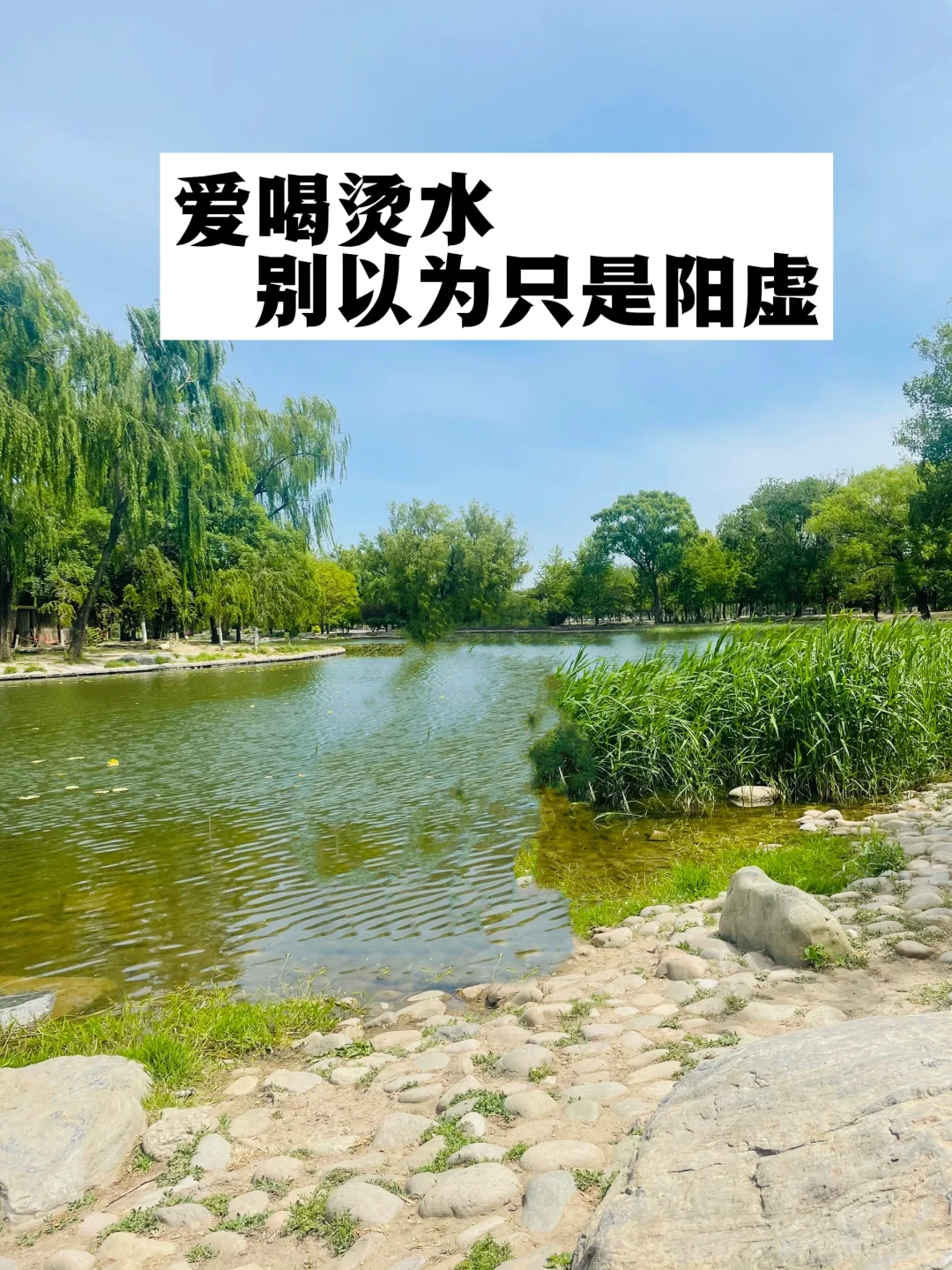 爱喝烫水，你可能不止是阳气不足.