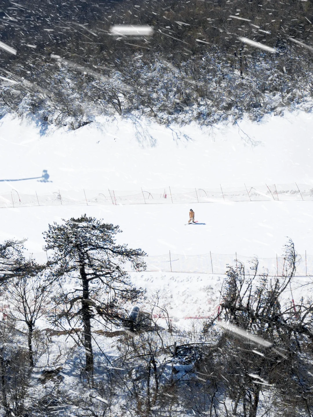 不是新疆‼️在浙江也滑到了我的梦中情雪🏂🏻