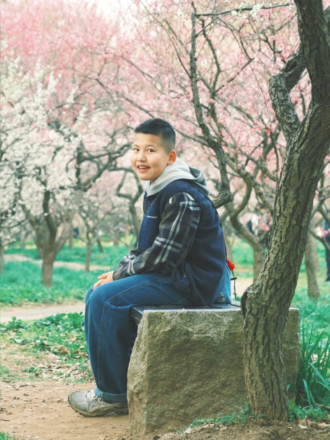 南京明孝陵赏花🌸只逛梅花山？你就亏大了！