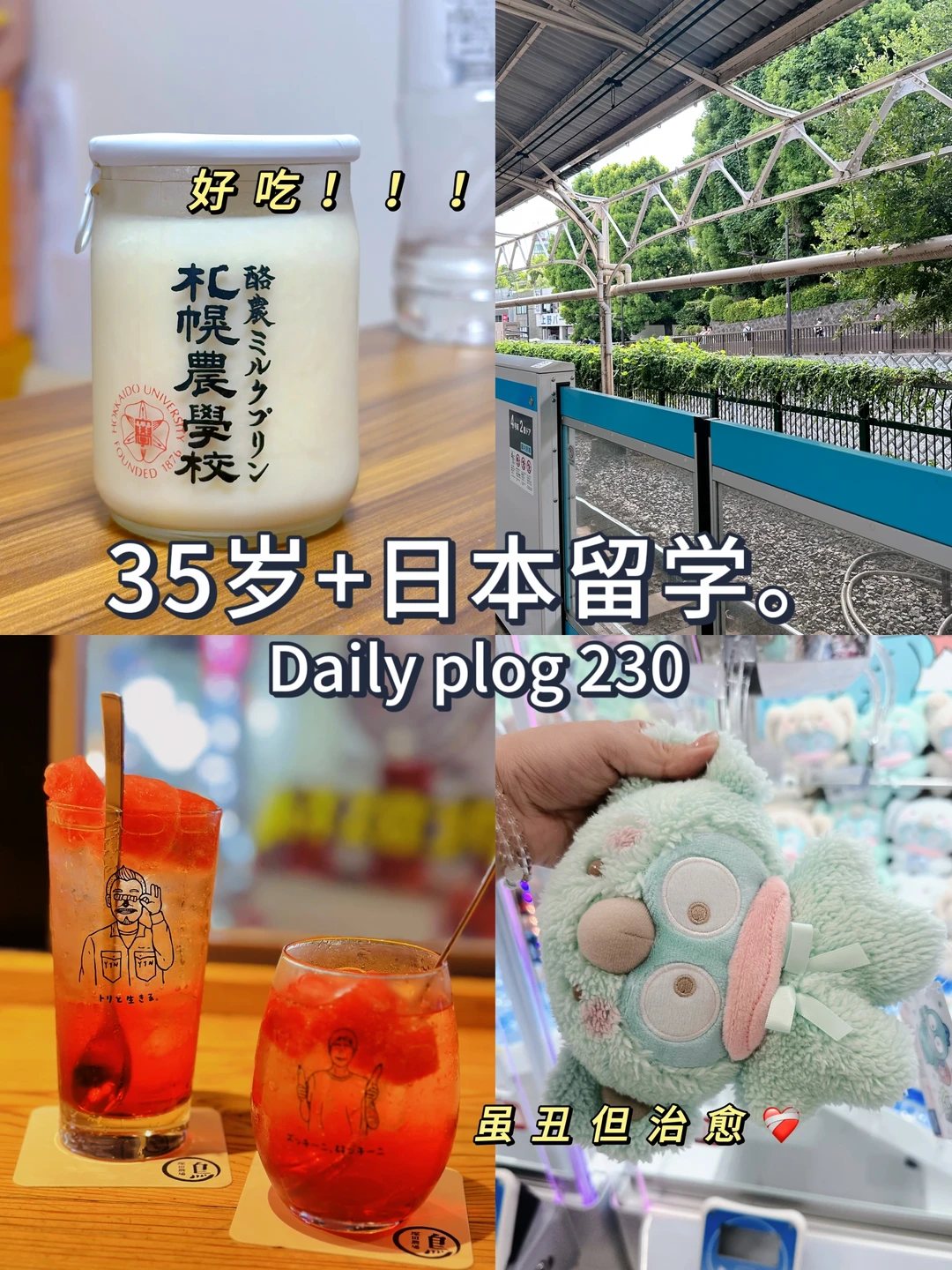 35岁+日本留学🥰日本生活过得快乐的小技巧
