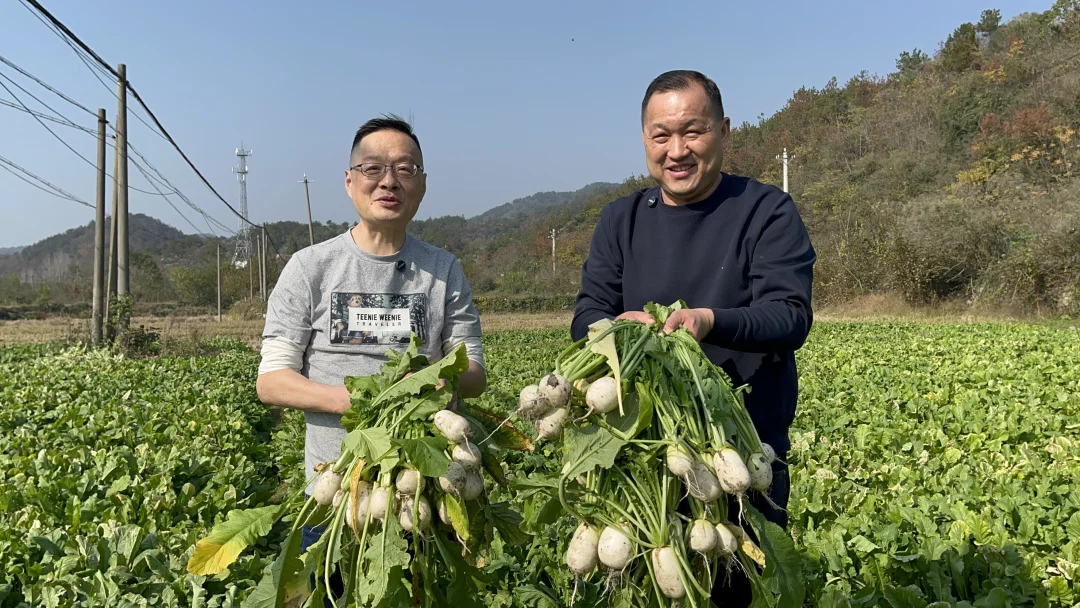 黄陂大集的故乡风物