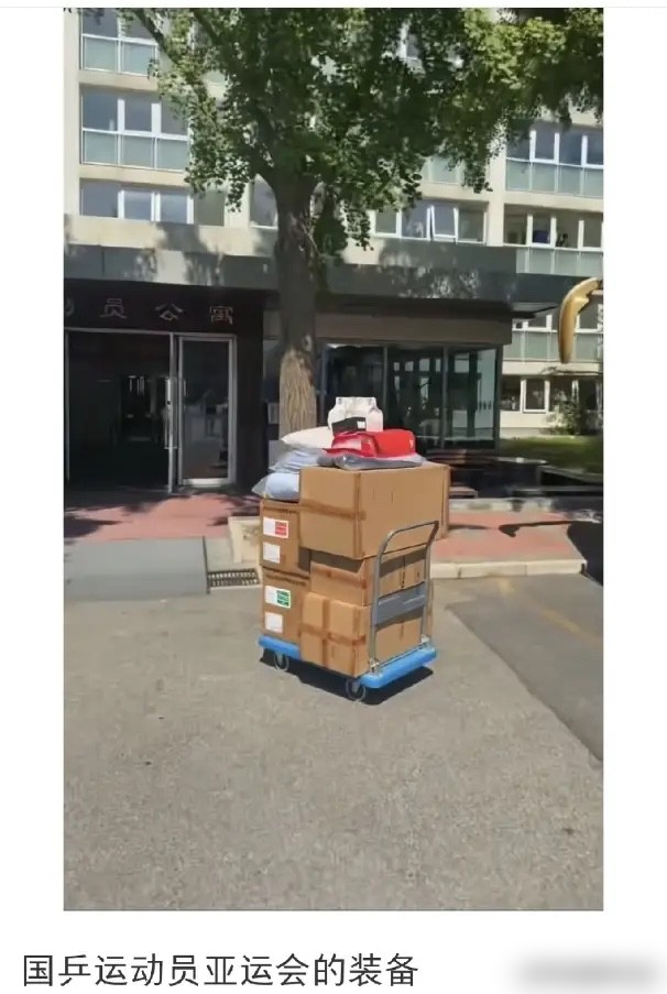 滞留六个小时，主办方只给瓶白水。国乒国羽落地名古屋，直接撞上系统崩溃加接驳瘫痪。孙颖莎王曼昱饿着肚子在机场干等，旁边印度队更惨，连个能联系的人都找不到。国羽队长贾一凡先想带人挤公共大巴，票不够。转头撞见领事馆的人，一个电话拉来侨胞的车，下午四点半全员撤走。国乒这边王励勤带着三十多号人，预案里写了医务