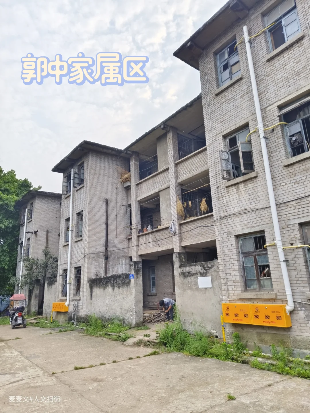 【江北】荒芜在曾经的郭中游泳池底生长