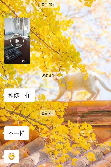 太好笑了这两位啊啊啊。早上小五拍了他在工厂养的大黄狗虎子，放大狗狗的脸...