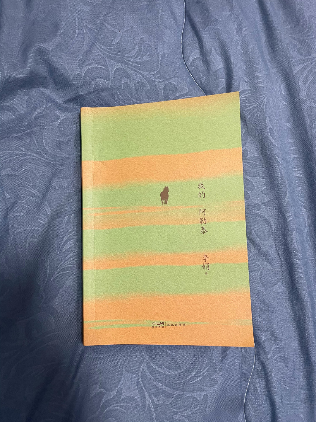 Good Luck…其中一家看起来最阔气的店面是卖摩托车的，店外贴了一张盖住了整面墙的摩托车广告喷绘招贴，刘德华板着脸站在那里，旁边一头牛正在津津有味地舔他的脸。 ​