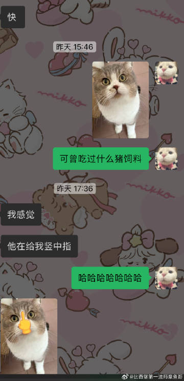 笑了十分钟才舍得发出来