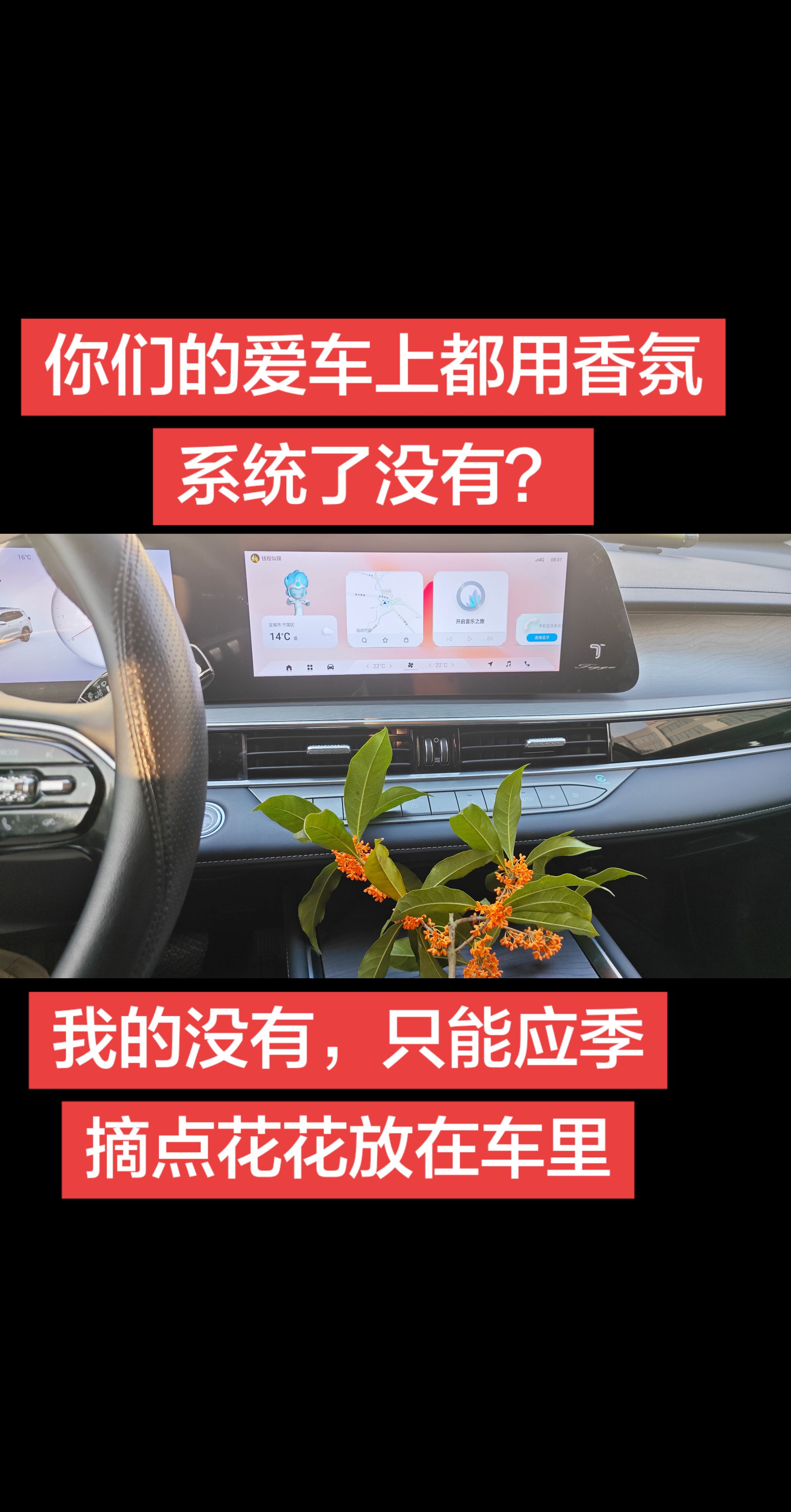 你们的爱车香氛系统都用了没有？我的低配没有，只能应季摘点花花放在车里汽车内饰 车里的桂花香 车里都是花香味 奇瑞汽车