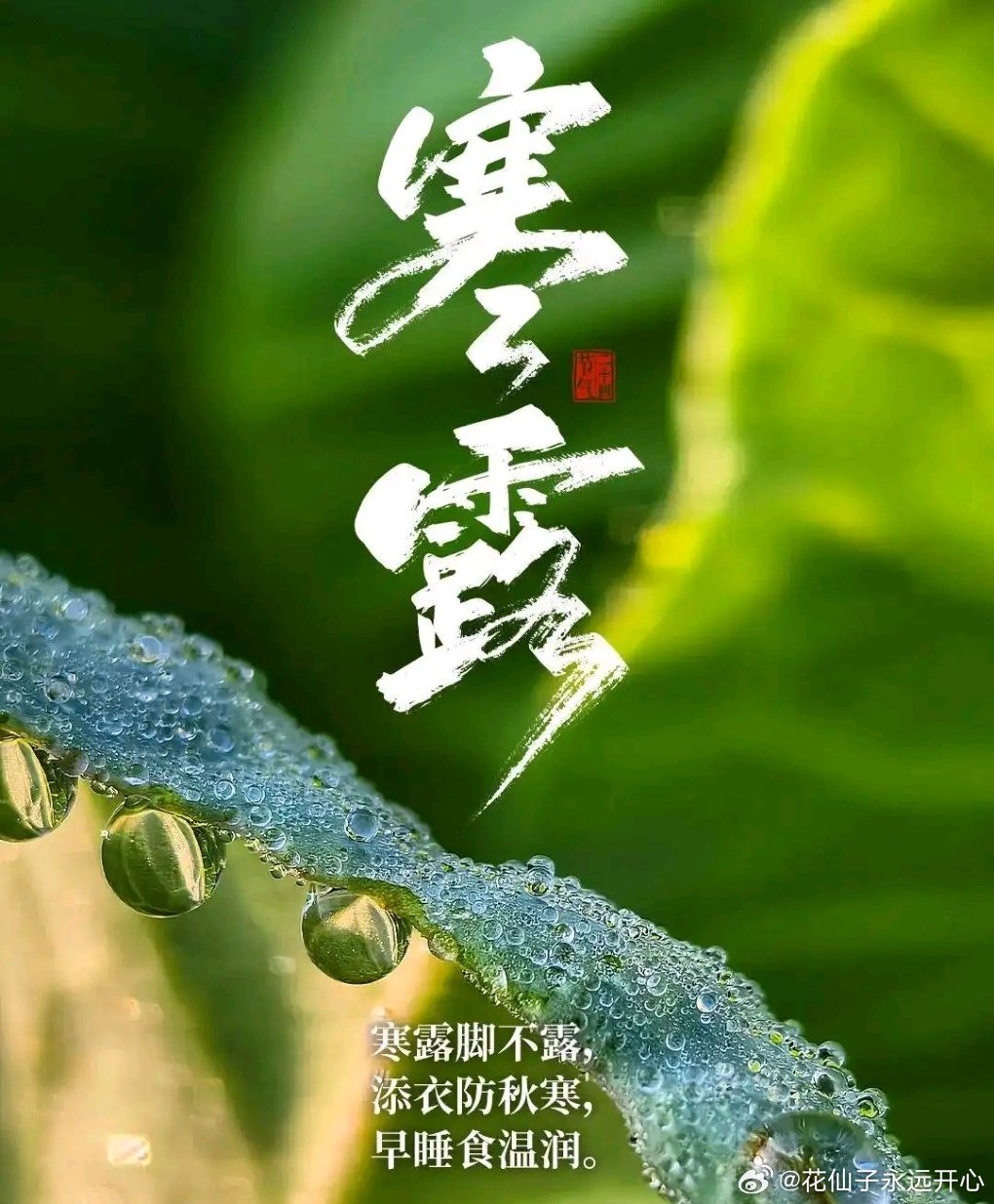 今是寒露节气，寒露节气则是凉爽到寒冷的转折已经进入深秋。在寒露节气老传统中会有各种食俗，我们应该牢记三不吃：1不吃辛辣食物，2不吃油腻食物，3不空腹吃柿子，要吃红枣莲藕栗子！三不露1不露肚脐，2不露脚，3不露肩；三不睡1湿发不睡觉，2.不睡晚觉，3不睡懒觉的养生原则，以顺应天时哈😊 ​