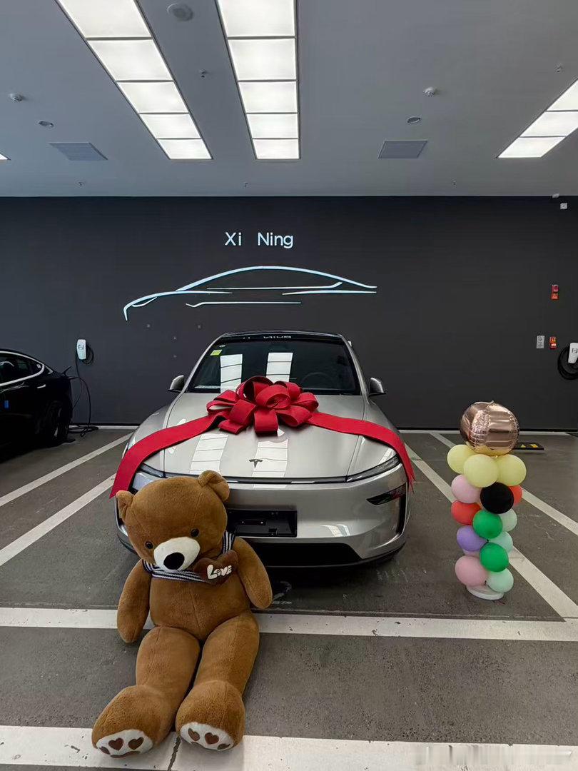 喜提Tesla暴躁小鼠标！#特斯拉model yl##特斯拉用车日记# ​