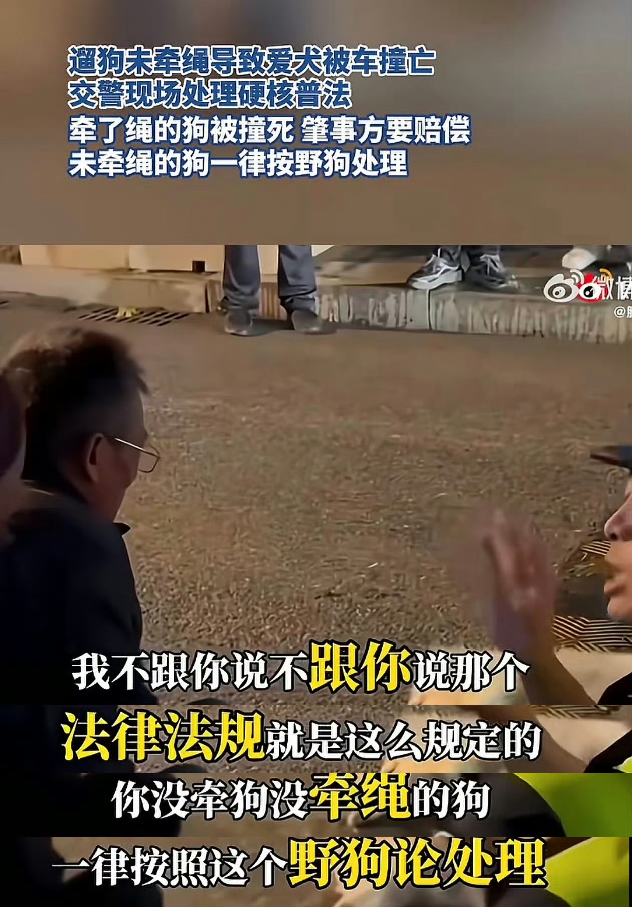 江苏交警一句话出圈！未牵绳犬只按野狗处理！
近日，江苏一位交警的事故处置言论登上热搜，交警称不拴绳狗被撞死按野狗处理引发全网激烈讨论。交警明确表态，遛狗未牵绳的犬只发生车祸，可按野狗处置，车主无需承担赔偿责任；倘若车辆因此受损，狗主人还需要赔付修车费用。

这番判定，本质是对养犬人法定看管义务的