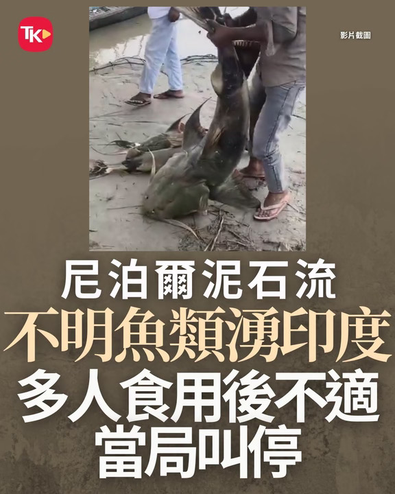 唔好乱食