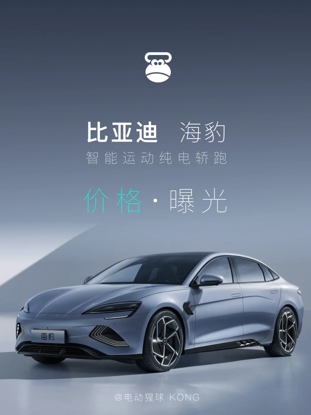 【一图流】海豹价格曝光㊙️，配置怎么选？