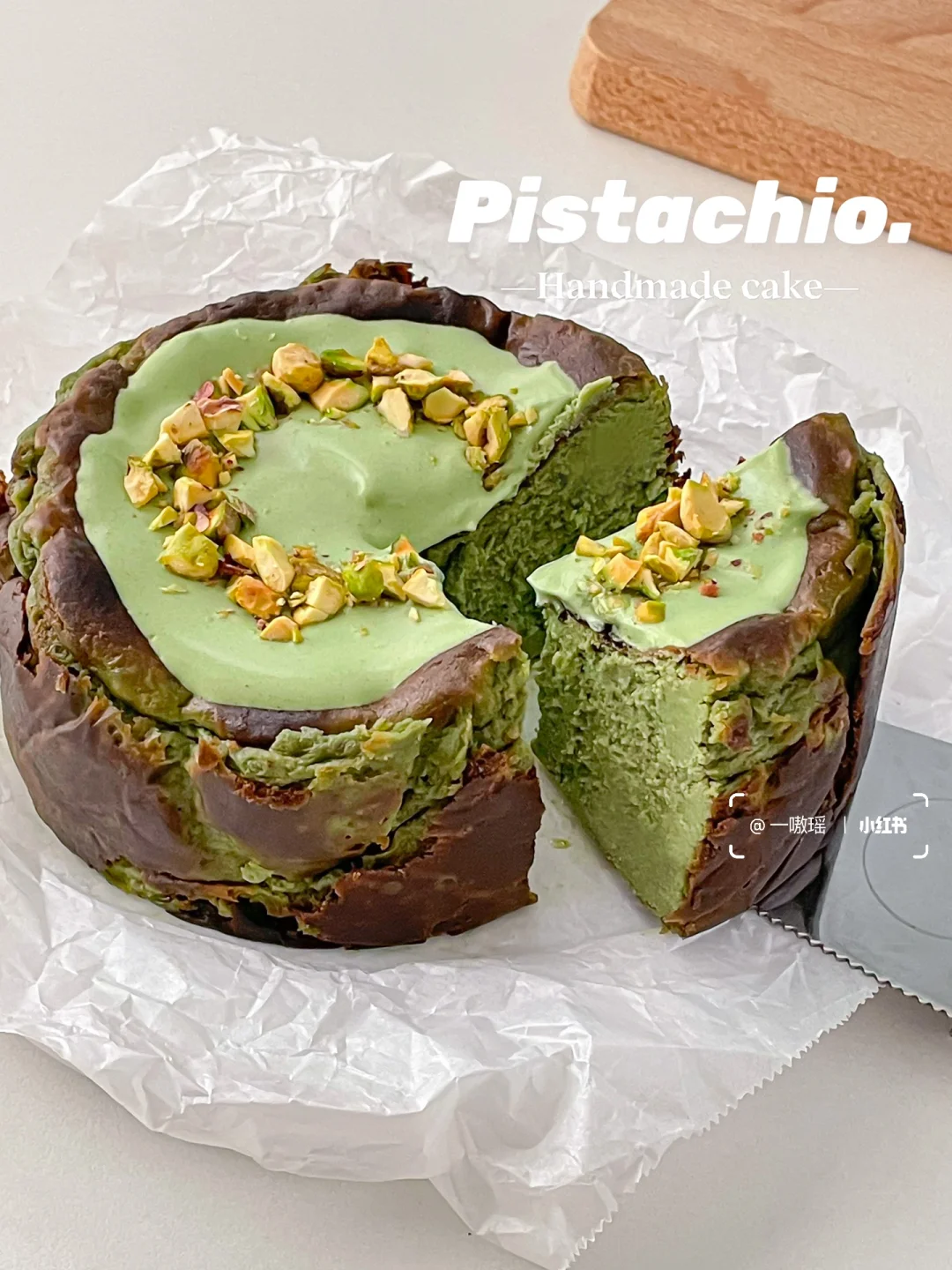 ⋆˶ '͜' ˶)◞💚新手友好！4寸开心果巴斯克🍰