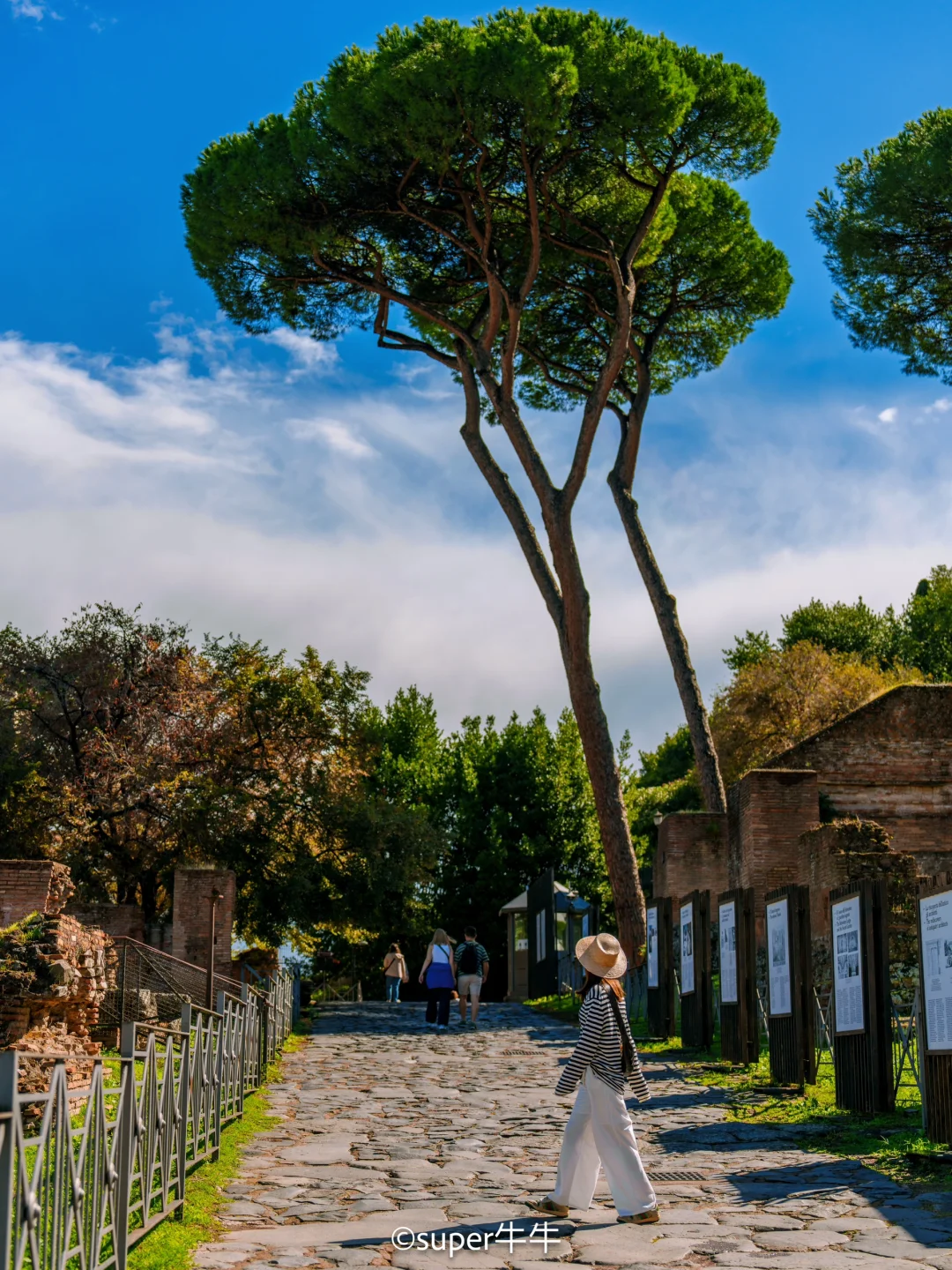 意大利🇮🇹✨古罗马广场📸超详细打卡攻略☑️