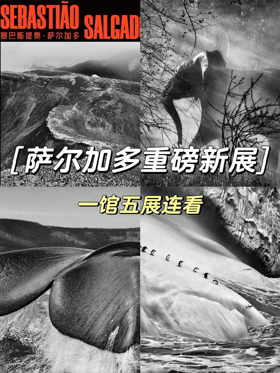 雨天看展好去处☔️上海被严重低估的艺术大楼