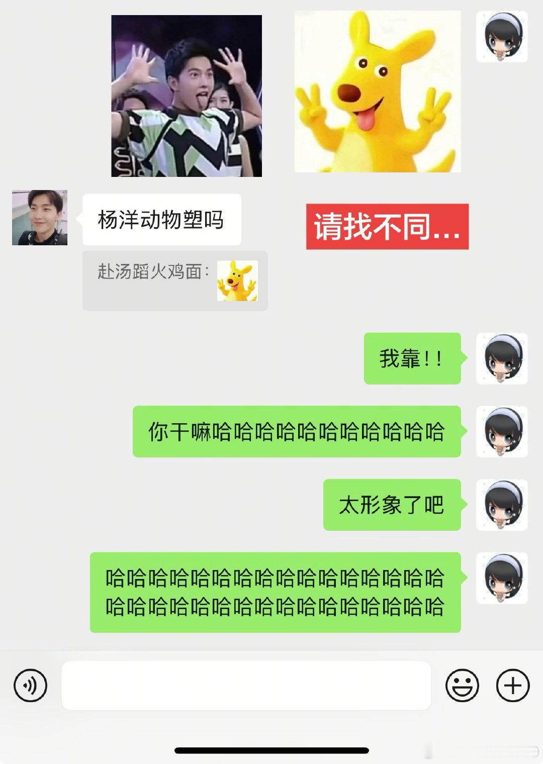 这期又神了，肥嘟嘟塑来也#胆子肥嘟嘟##杨洋##搞笑日常# ​