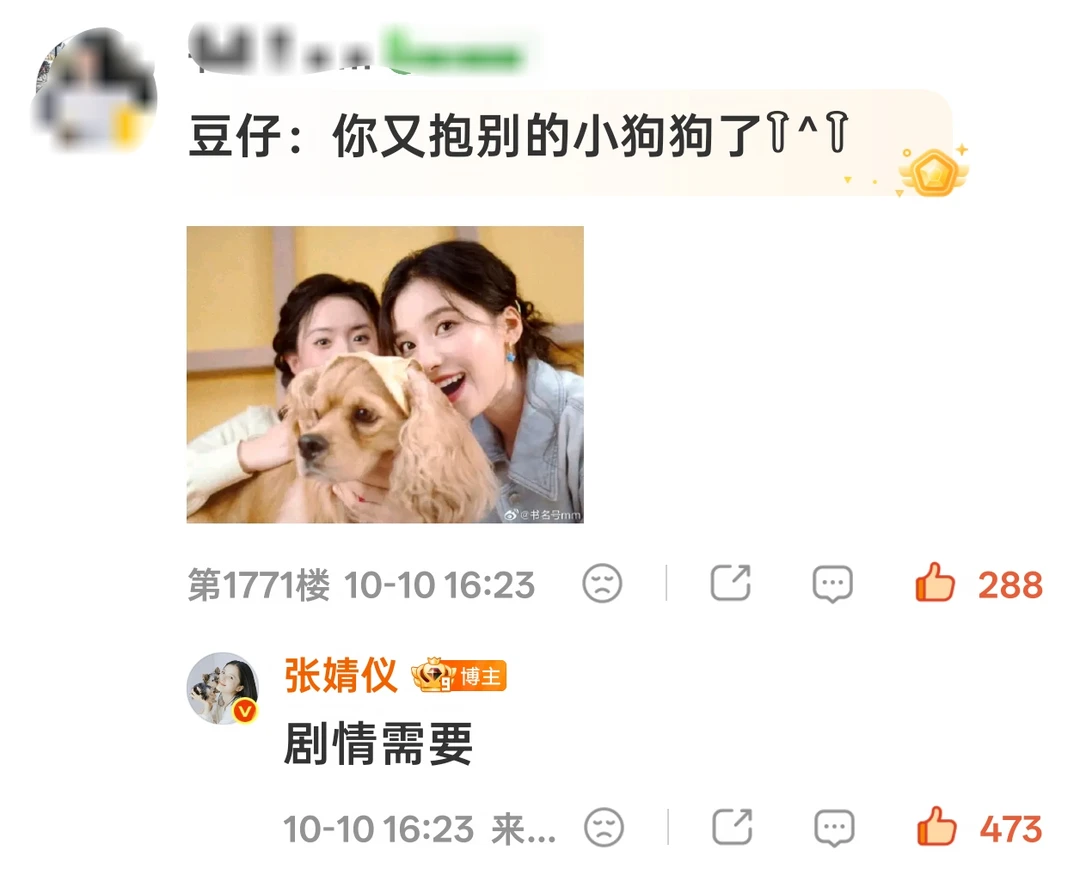 有谁能懂张婧仪的幽默，活人感太强了