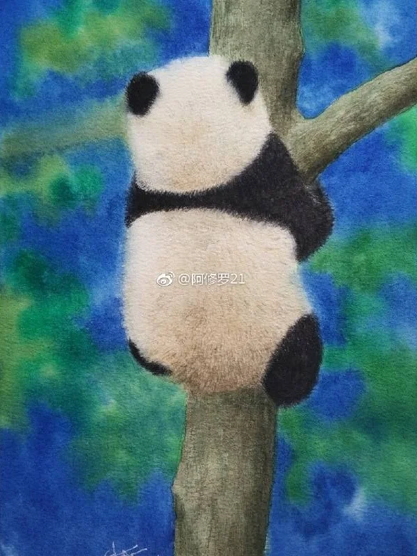 水彩大熊猫。背影。