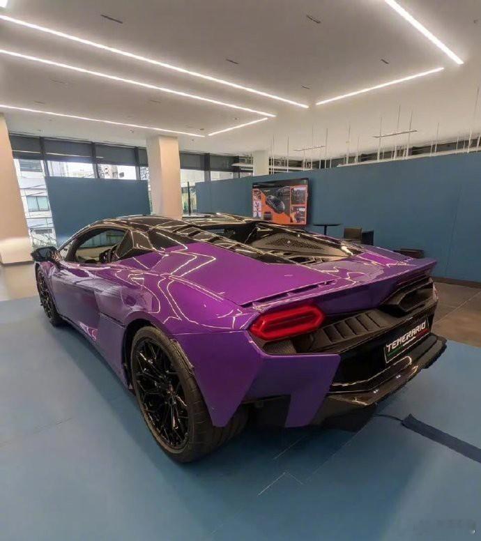 新年伊始，那辆紫色的Lamborghini Temerario映入眼帘，象征着八方来财、紫气东来，财运亨通。真是令人惊叹不已。 ​​​