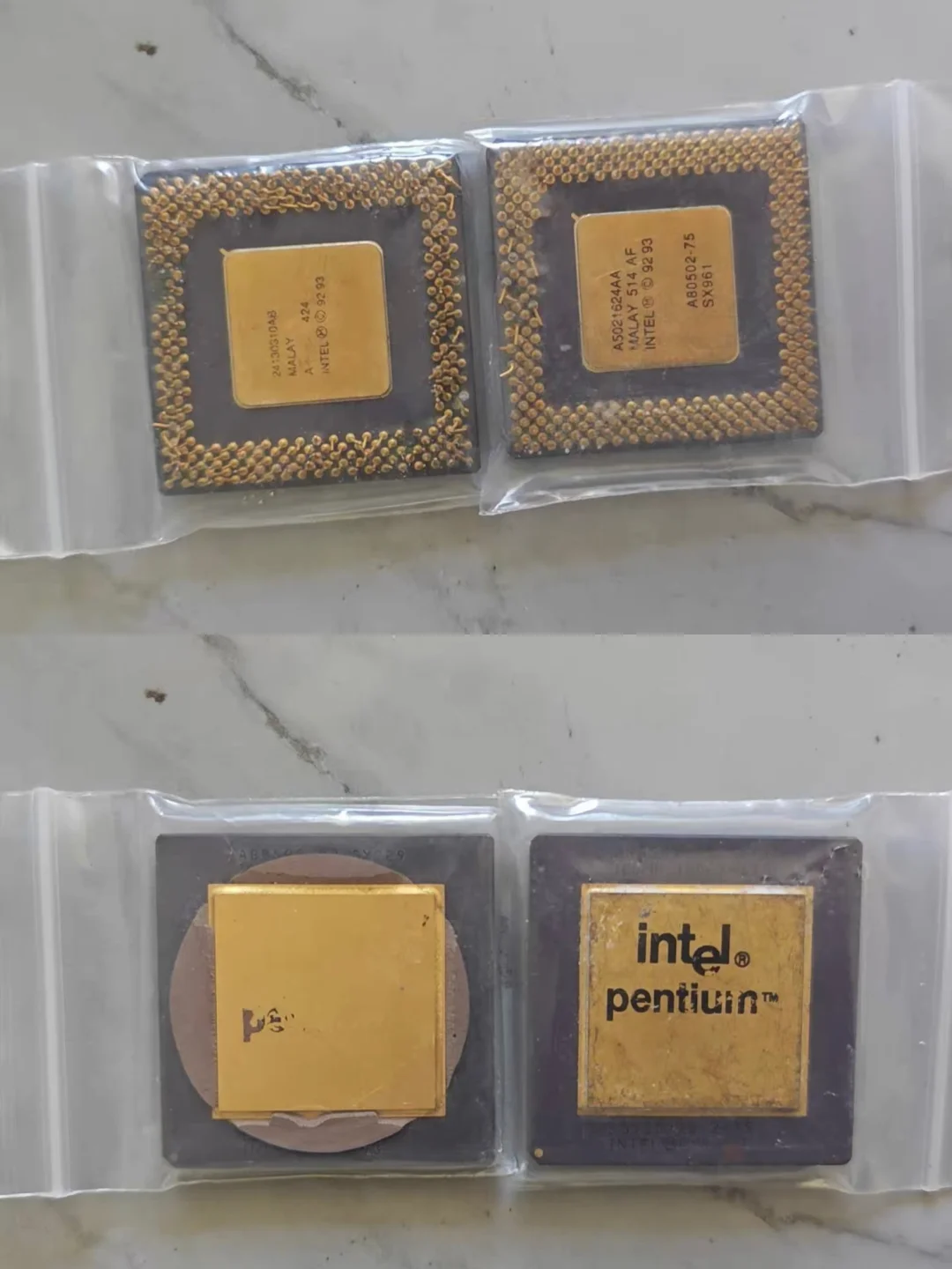 黄金顶盖和针脚的CPU你见过嘛？