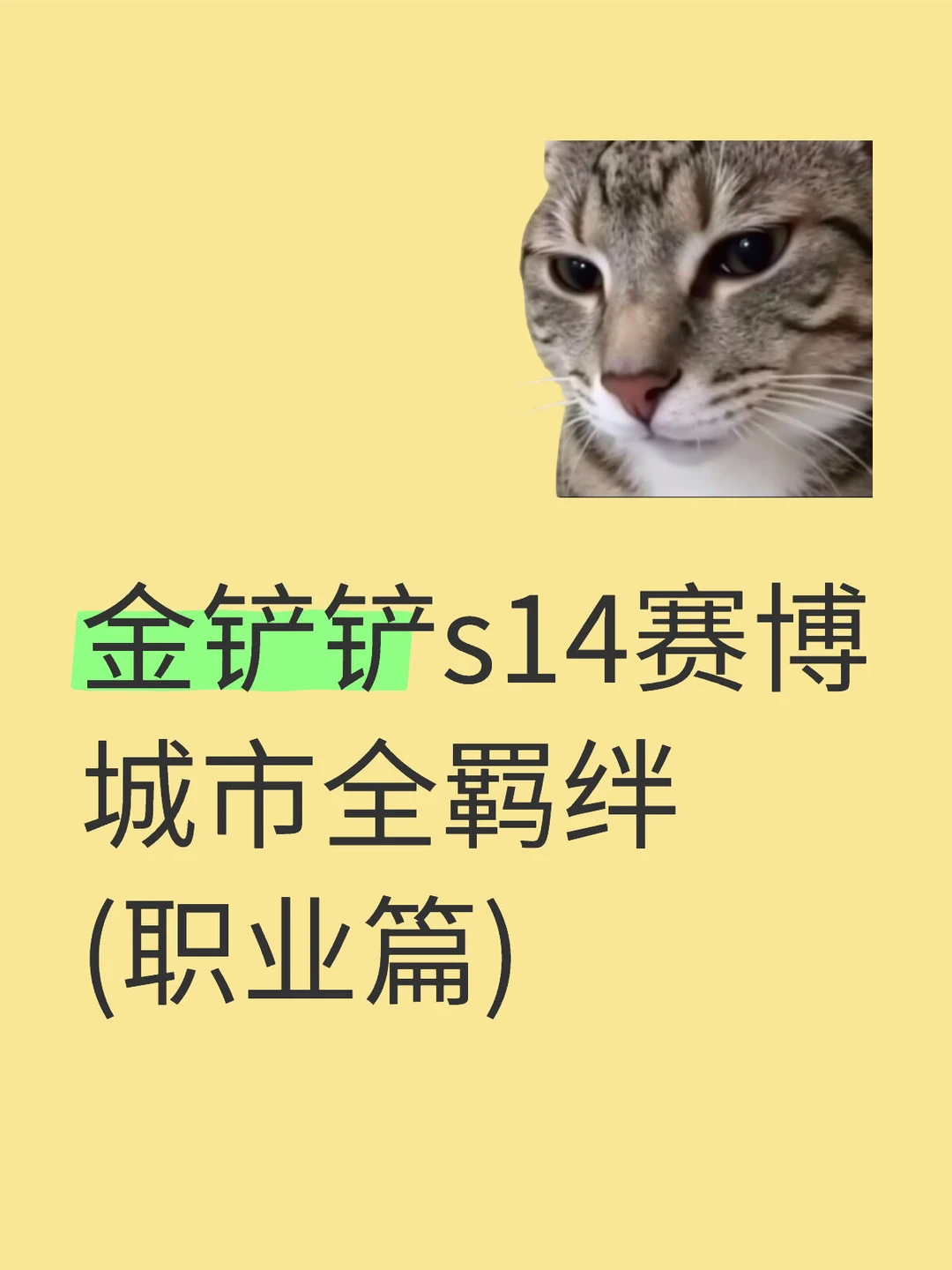 金铲铲s14赛博城市全羁绊！