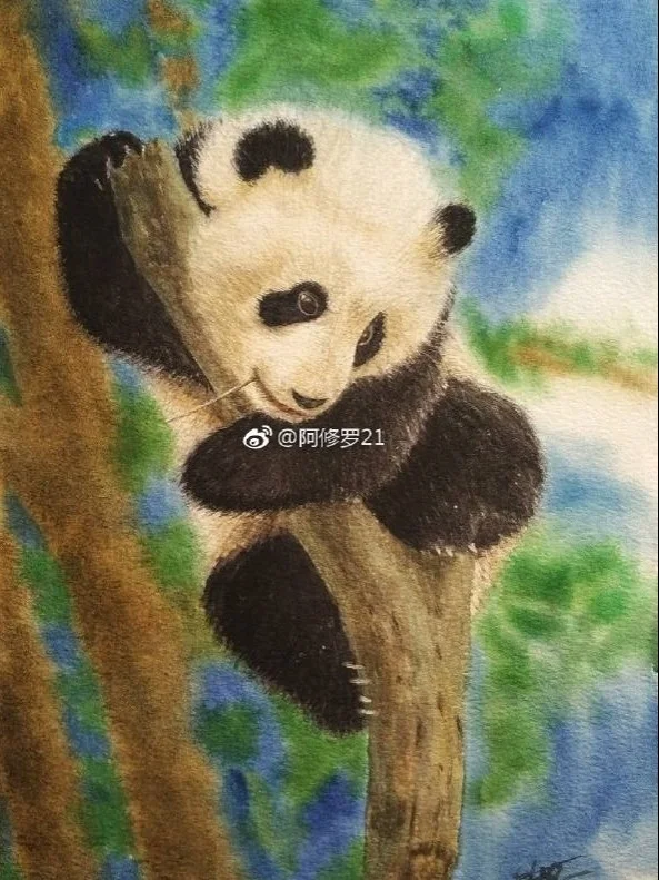 水彩大熊猫。树梢上的滚滚。