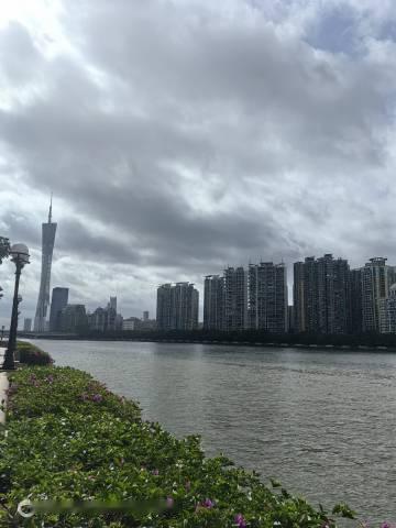 【记录日常】 二沙岛音乐厅的珠江边
