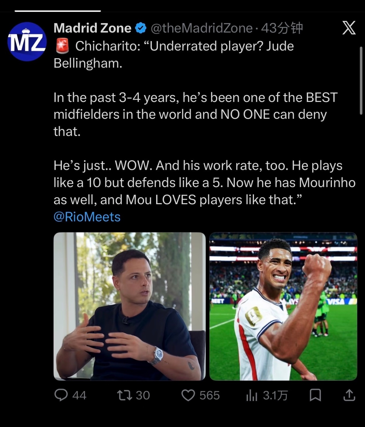 贝林厄姆被外界低估了！他很全能 埃尔南德斯（Chicharito：哈...