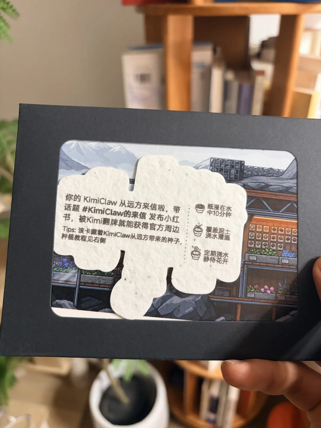 kimi离了你谁还给我来信啊😭