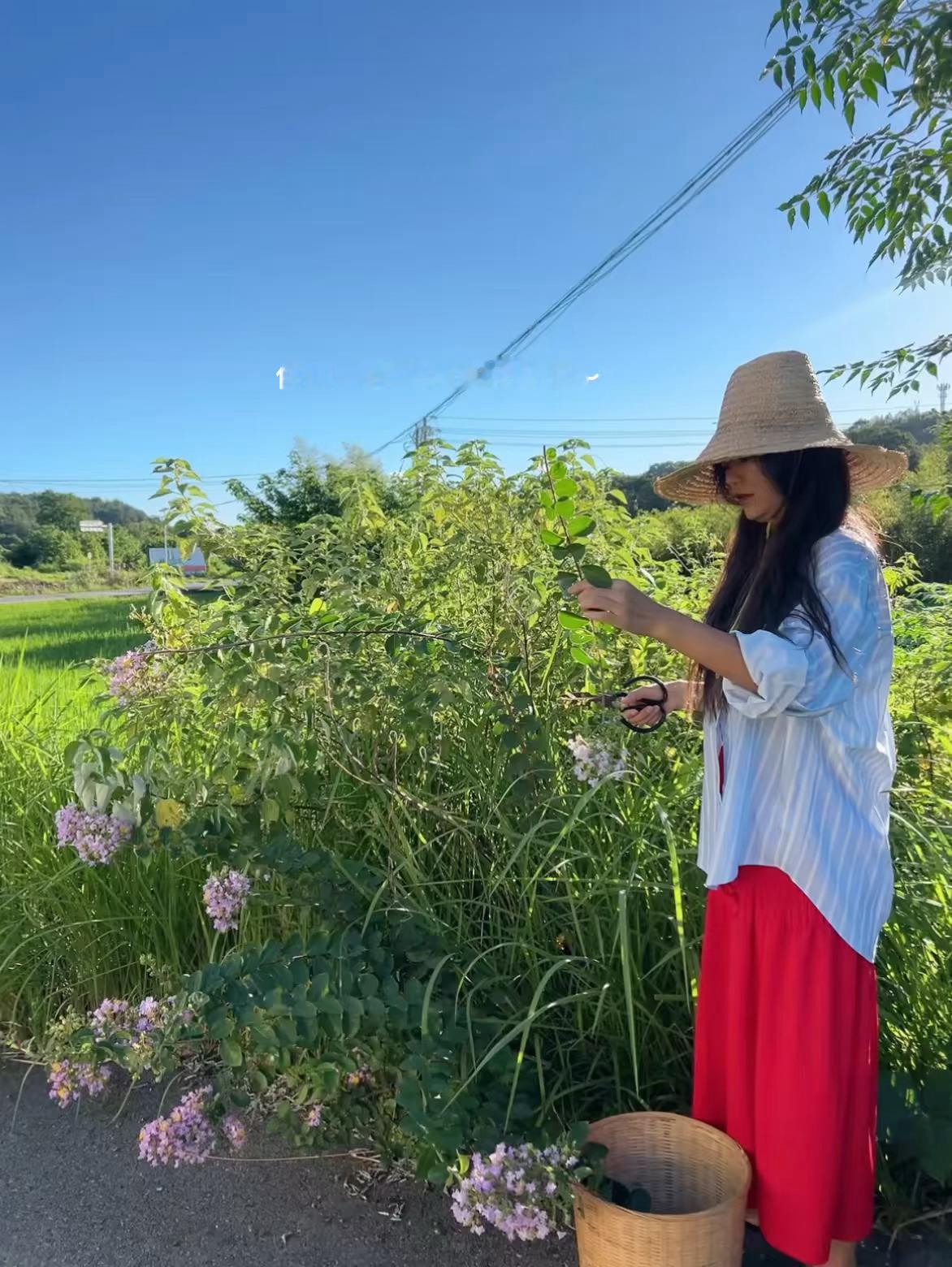 非常喜欢侯麦的电影，搬来景德镇的山里，慢慢收拾到花园了这一步了，正好穿了红色裙子蓝白条纹衬衫，一下子想到了非常喜欢的侯麦的《双姝奇缘》，讲述了持有不同价值观和生活方式的两个女孩的友情，正好朋友来景德镇找我过夏天，也是没想到有一天能在自己居住的环境里“还原”了侯麦～
 
我和我的朋友 ​