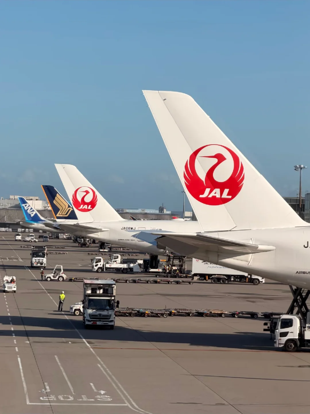 坐了JAL日本航空，就再也不想坐其他飞机了