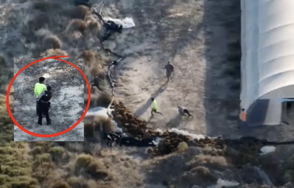 毒品种植泛滥！澳大利亚警方查获上亿元大麻