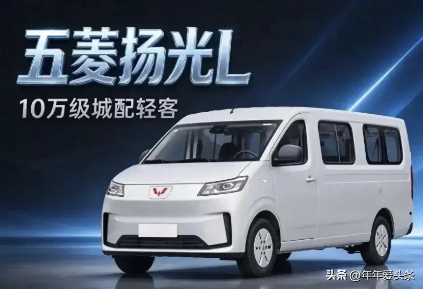 国产汽车质量10大排名: 
第一名:一汽红旗
第二名:奇瑞汽车
第三名:长安汽车
第四名:比亚迪汽车
第五名:长城哈弗
第六名:吉利汽车
第七名:五菱汽车
第八名:广汽传祺
第九名:江淮汽车
第十名:海马汽车




五菱扬光家族累计销量突破17万辆，陪着我们十几万城配司机奔赴创富之路，我们多数人的