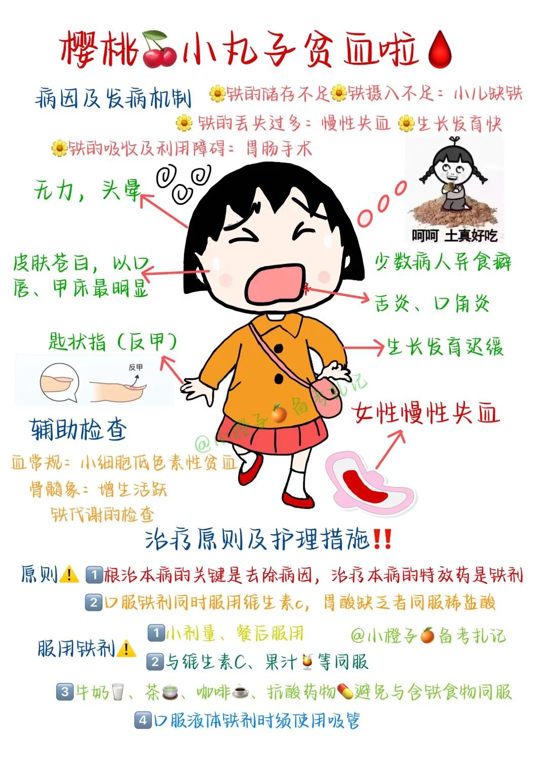 📖护师笔记｜内科护理学｜缺铁性贫血🩸