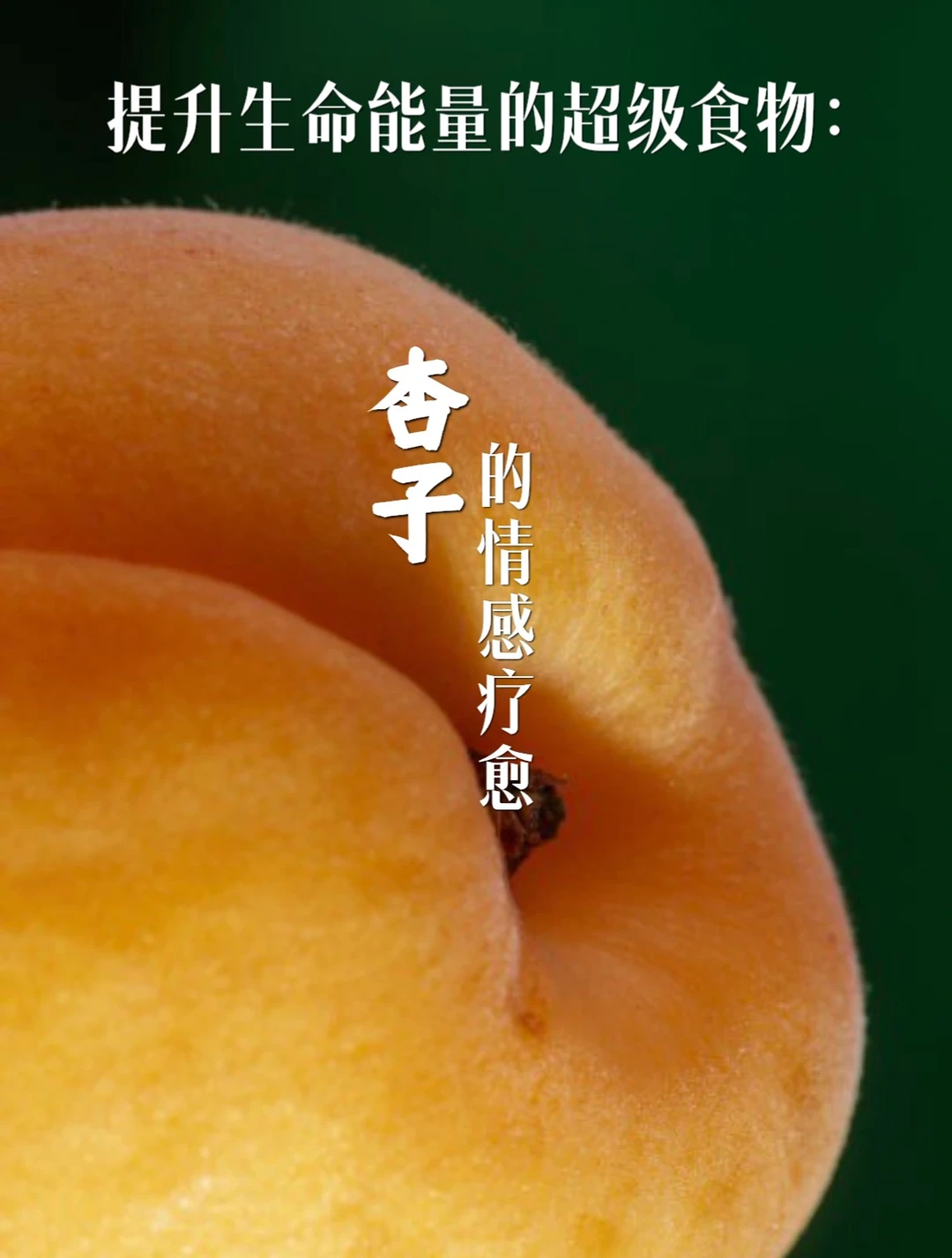 杏子的情感支持（建议食用时间）