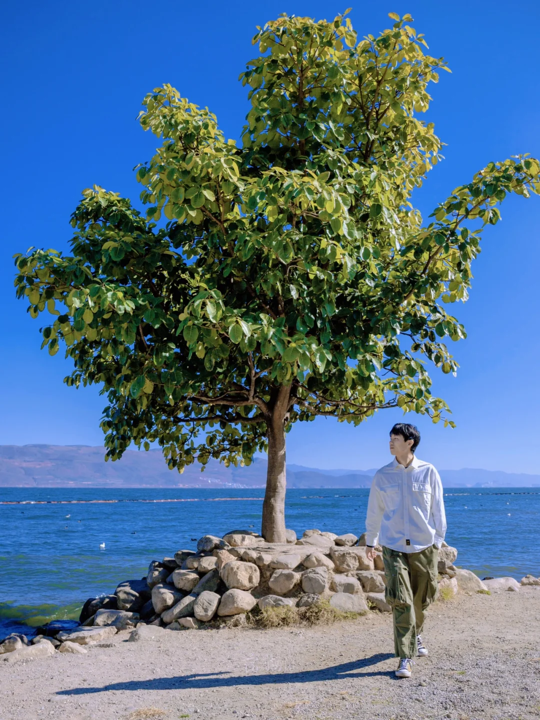 🌊夏天一定要去大理！24H环洱海景色终身难忘