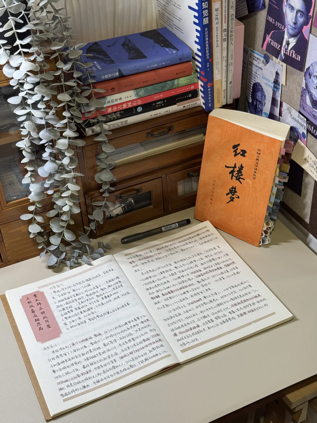 读书笔记|《红楼梦》第十二回