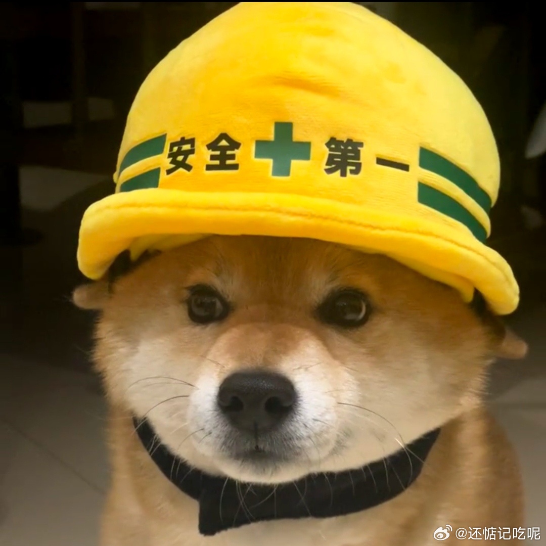 社会#尊界 速成车定义#
真正的速成车，是车企为抢市场拼命压缩研发时间，砍掉大量实车验证，该做的耐久、极限测试直接缩水，把消费者当成上路试车员。

造车不能一味求快，尤其是刹车这种关乎生命安全的部件，安全底线绝对不能妥协。行业内卷可以拼配置拼智驾，但不能把验证流程简化，速度永远不能凌驾 ​