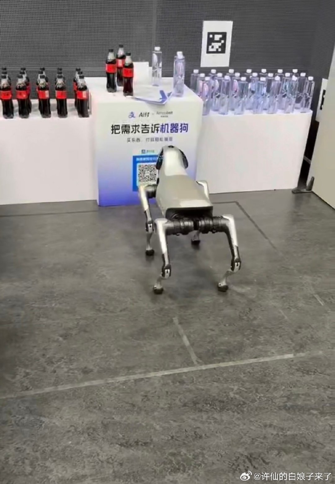 #网友称狗腿付才是真接地气#相亲自我介绍新话术：我有一只机器狗，还会打酱油。趣味感拉满，听说相亲成功率直接翻倍。#支付宝辟谣狗腿付# ​